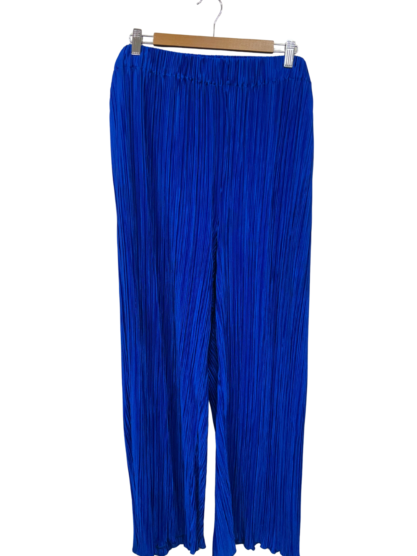 Blue Pleated High Waisted Pants