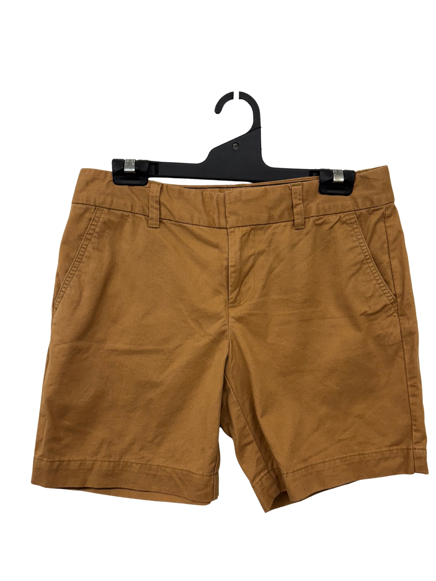 Dark Brown Low Rise Shorts