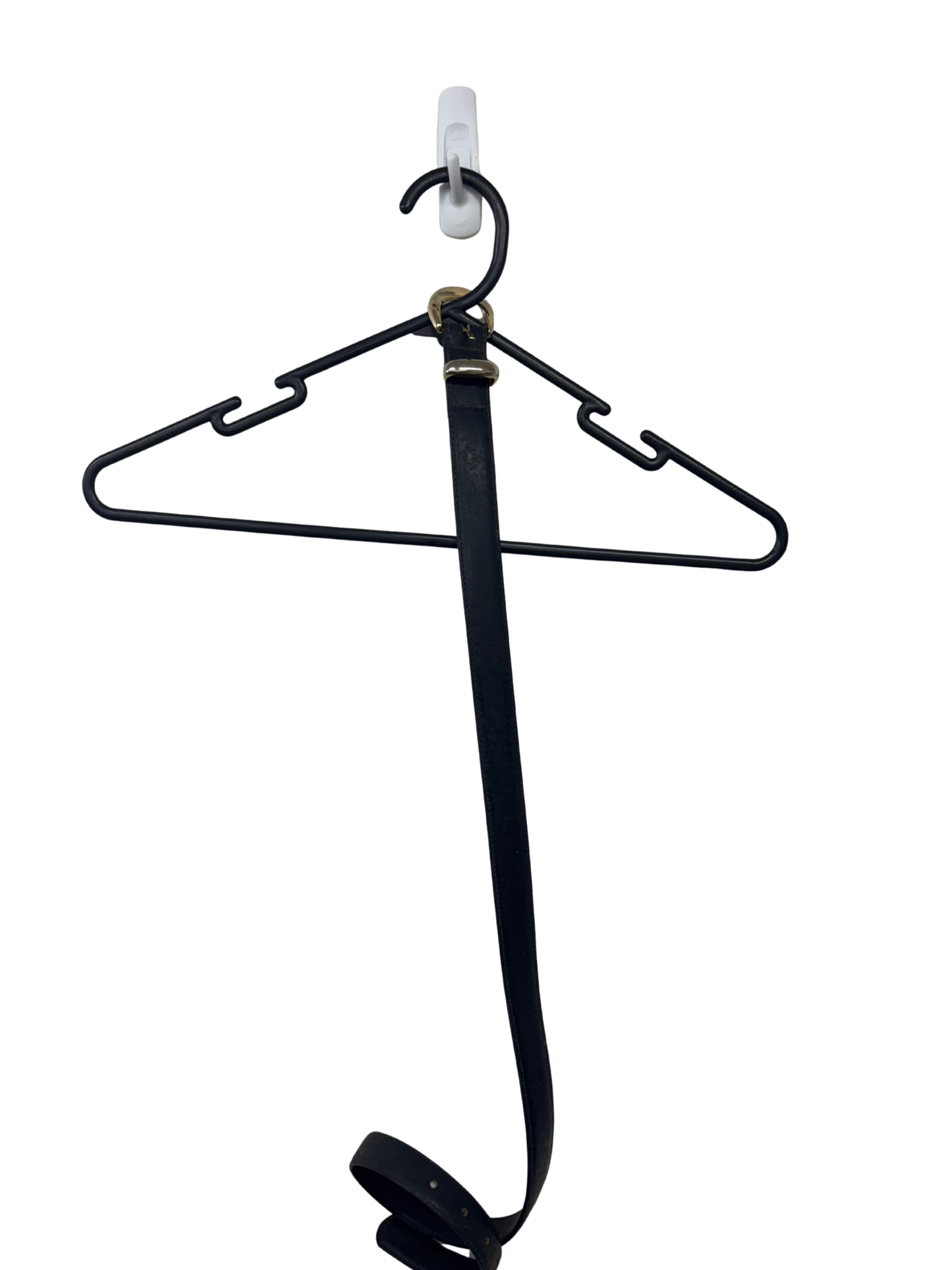 Dark Blue Belt with Gold Buckle