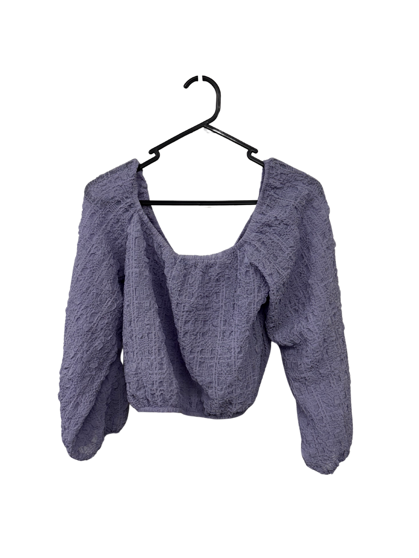 Purple Long Puffy Sleeve Textured Semi-Sheer Crop Top