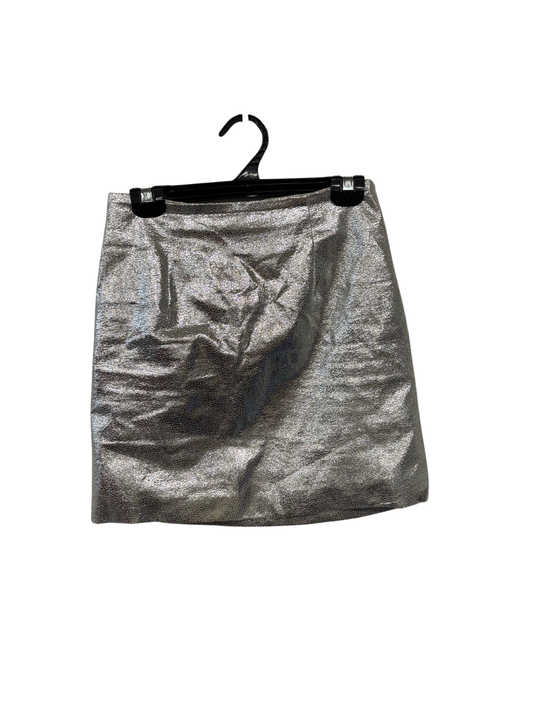 Silver Mini Skirt