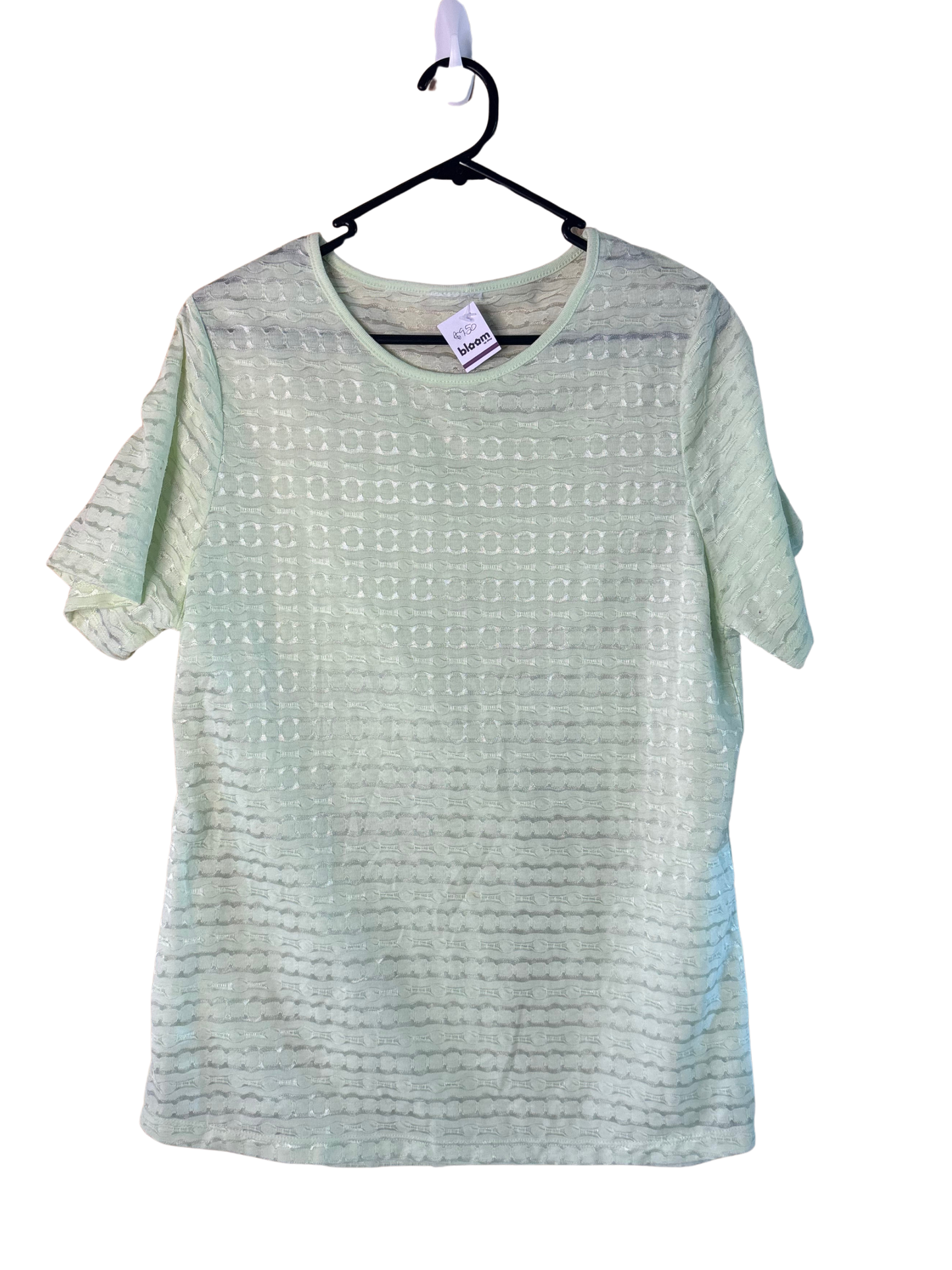 Light Green Semi-Sheer T Shirt Top