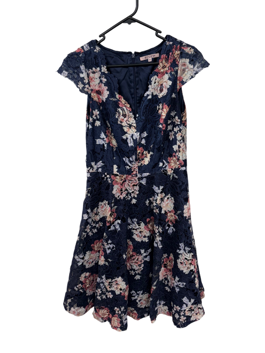 Blue & Pink Lace Rose Print Cap Sleeve Knee Length Dress