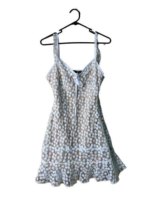 White Sheer Floral Embroidered Dress with Nude Lining